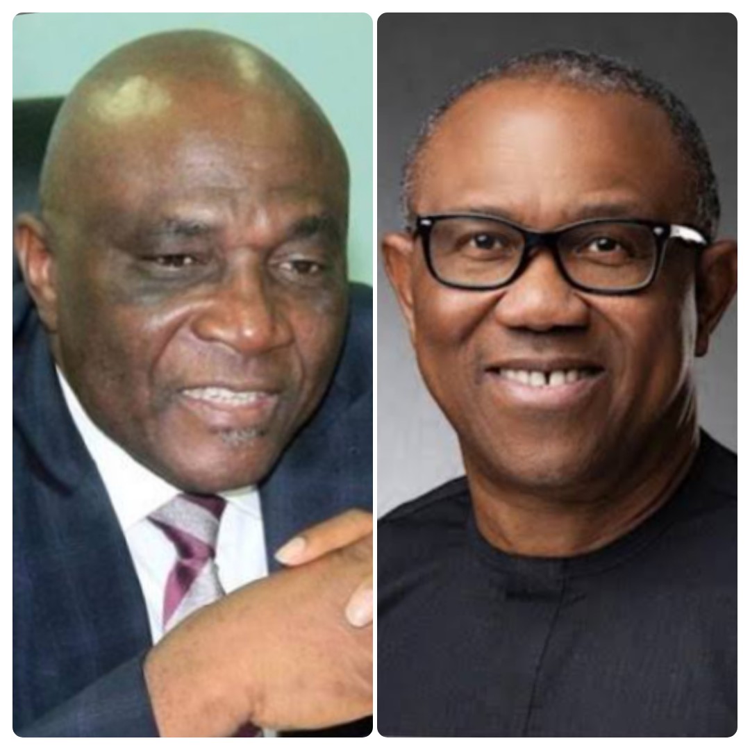 Bayo Onanuga Attacks Peter Obi - Famous People Magazine